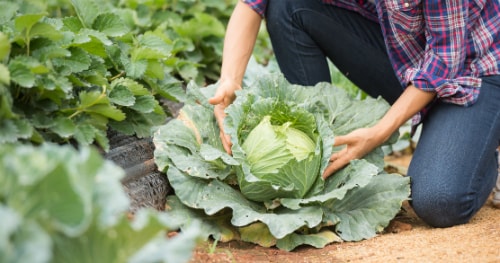 emp_Agostinho_Pita_Sousa